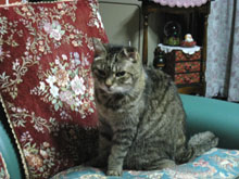 ́AwusђnсvI