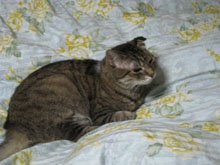 gȂI