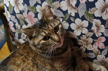 I