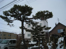 ĝyȂI