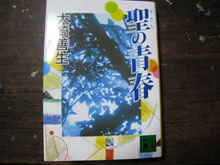 ǂ̉lI